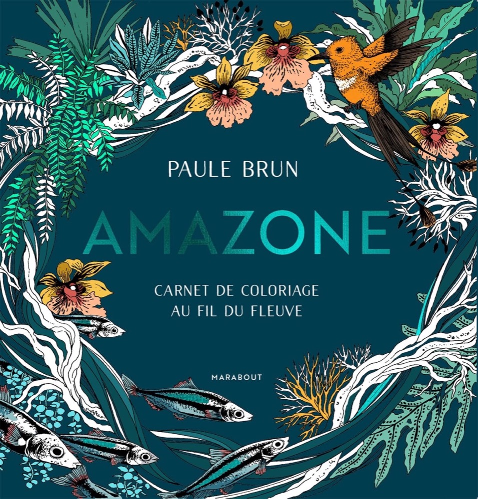 Amazone — Paule Brun (Marabout)